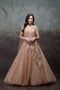 Beautiful Net Embroidered party Wear Gown Photo